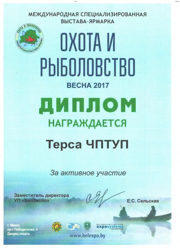 Диплом об участии в выставке