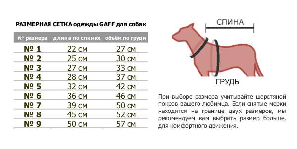 Как правильно измерить Вашу собаку.
